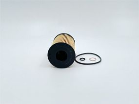 GB-1453EC BIG FILTER Масляный фильтр Bmw 5/7/x5/x6 08-